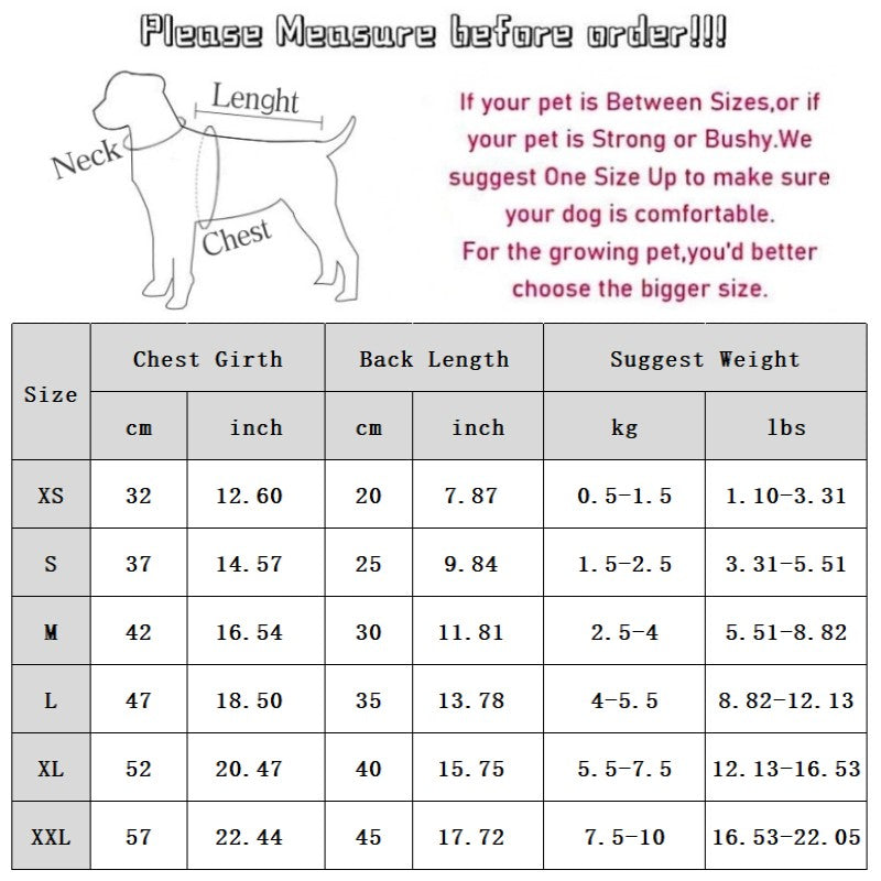 Cat Clothes, Bear Two-legged Cotton-padded Clothes For Kittens
