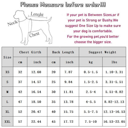 Cat Clothes, Bear Two-legged Cotton-padded Clothes For Kittens