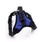 Collar Cat Pet Dog Chest Harness