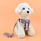 Dog chest strap cat leash