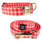 Dog Collar & Leash Sets