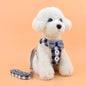 Dog chest strap cat leash