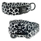 Dog Collar & Leash Sets