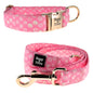 Dog Collar & Leash Sets