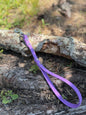 Biothane® Dog Leash — Waterproof, Made in the USA