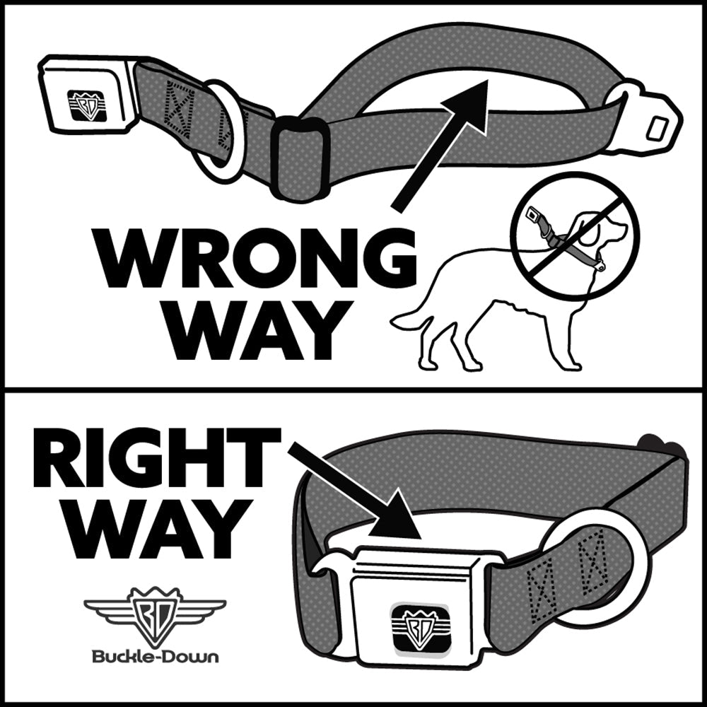 Dog Bone Seatbelt Buckle Collar - Laser Eye Cats in Space