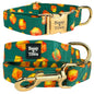 Dog Collar & Leash Sets