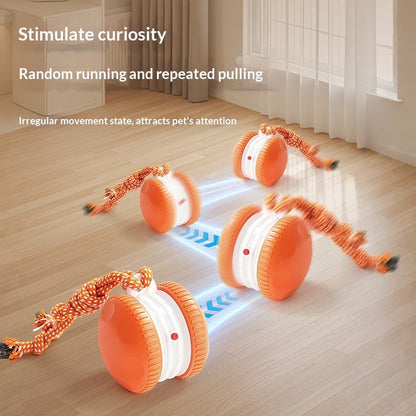 Pet Plastic Toy Rechargeable Rolling Ball For Cats And Dogs Durable And Interactive