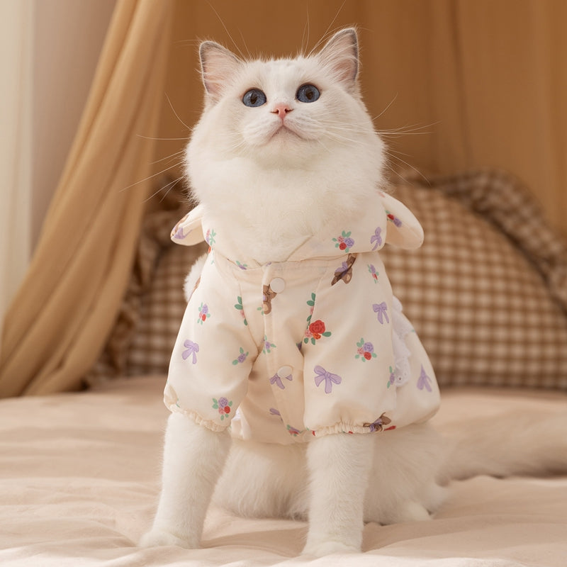 Cat Clothes, Bear Two-legged Cotton-padded Clothes For Kittens